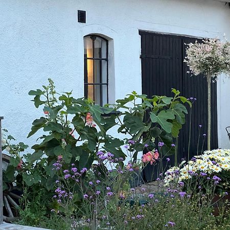 Backadal Gard Bnb Ystad Exterior photo