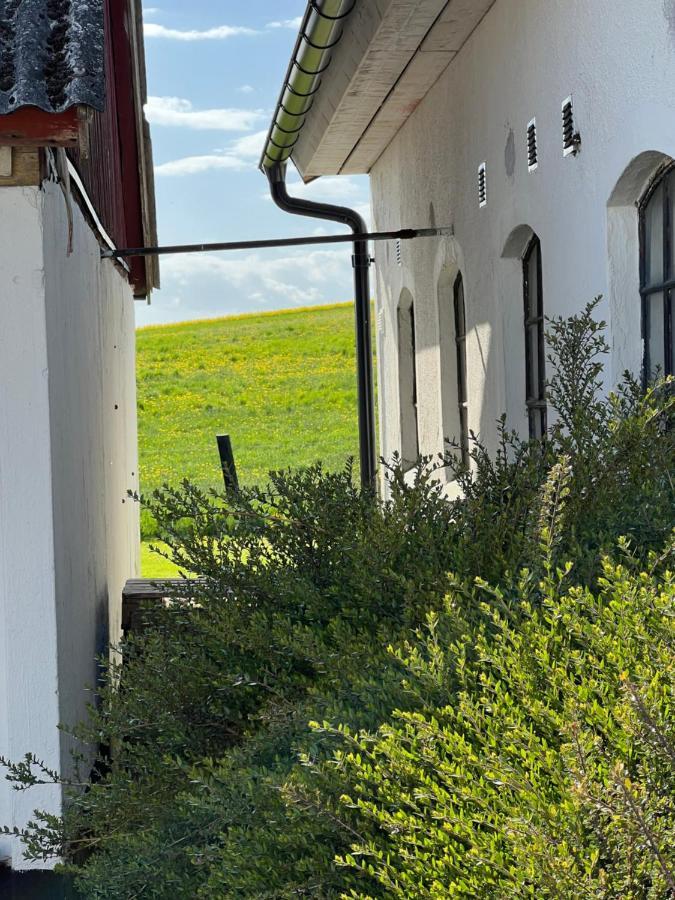 Backadal Gard Bnb Ystad Exterior photo