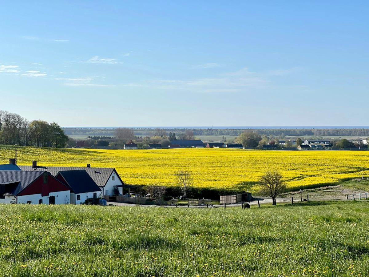 Backadal Gard Bnb Ystad Exterior photo