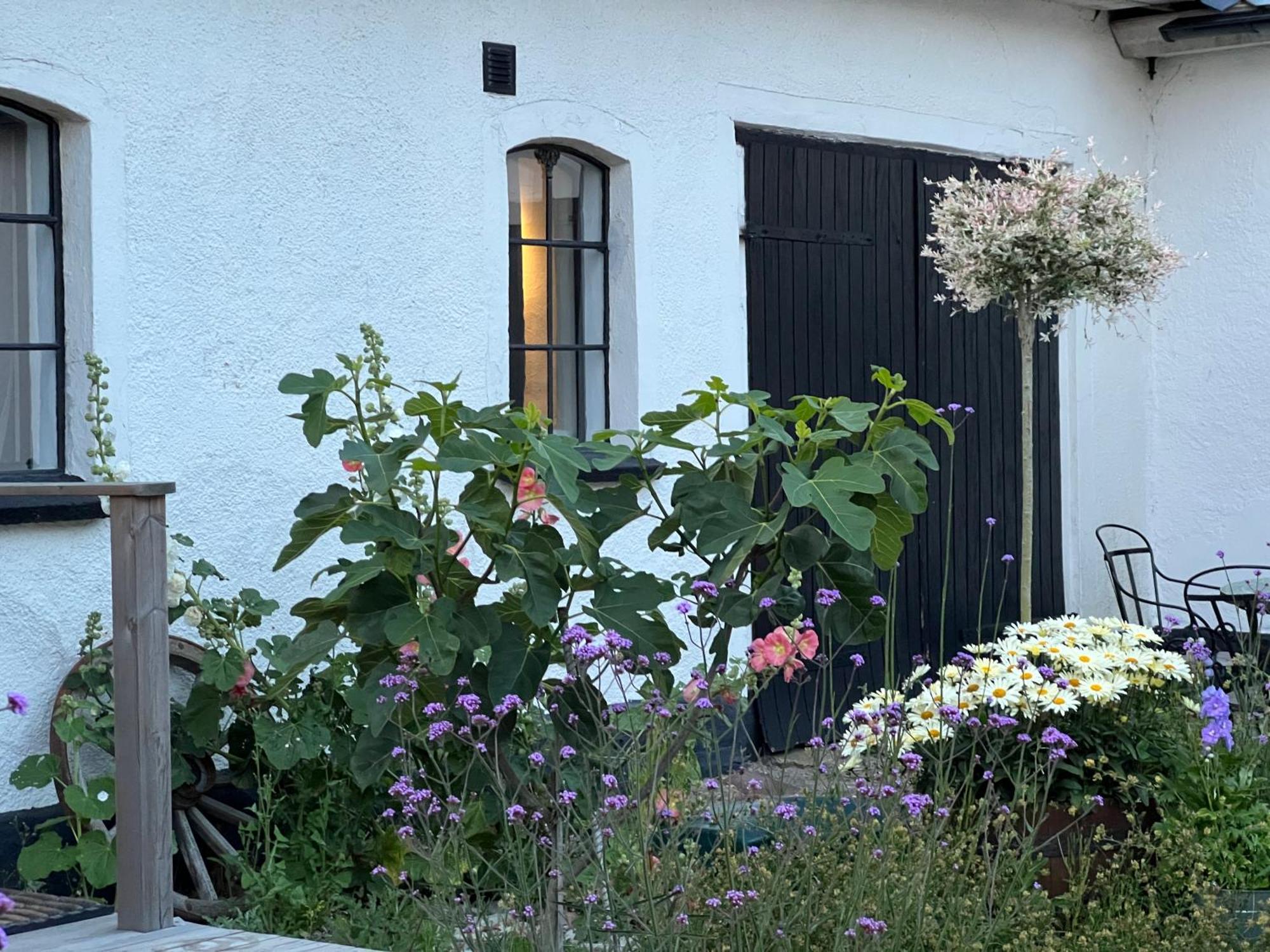 Backadal Gard Bnb Ystad Exterior photo