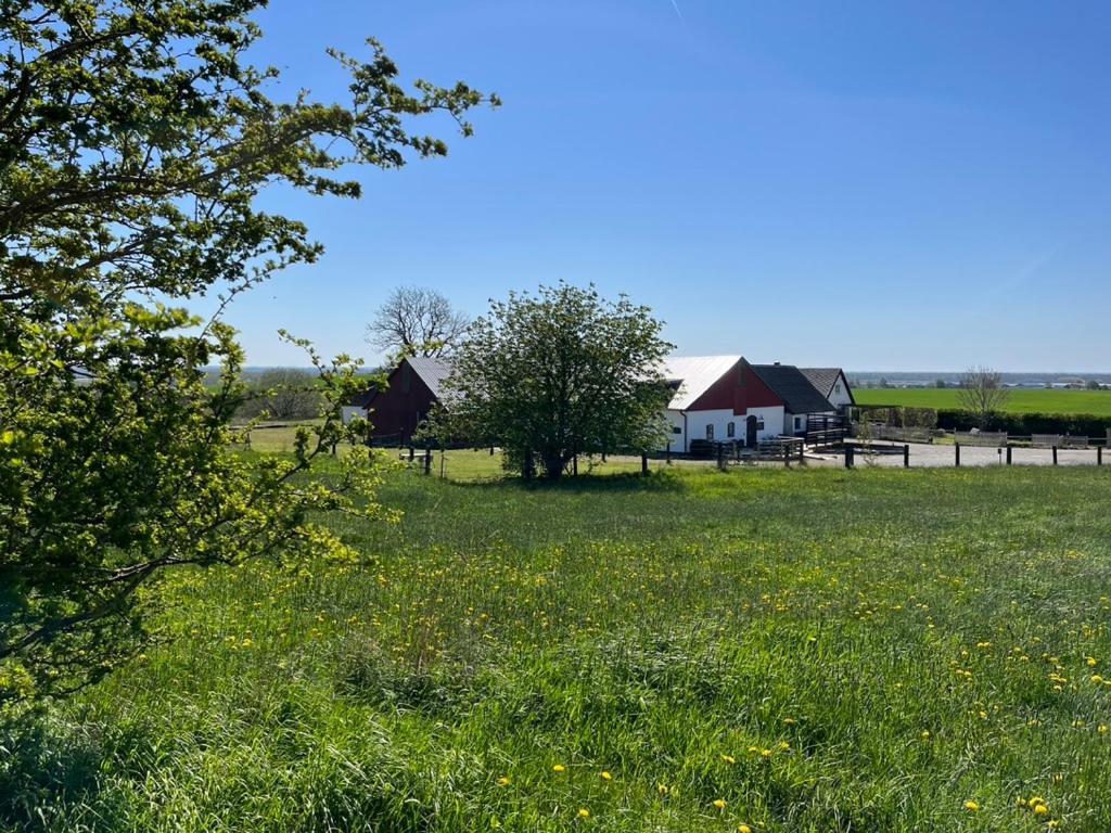 Backadal Gard Bnb Ystad Exterior photo